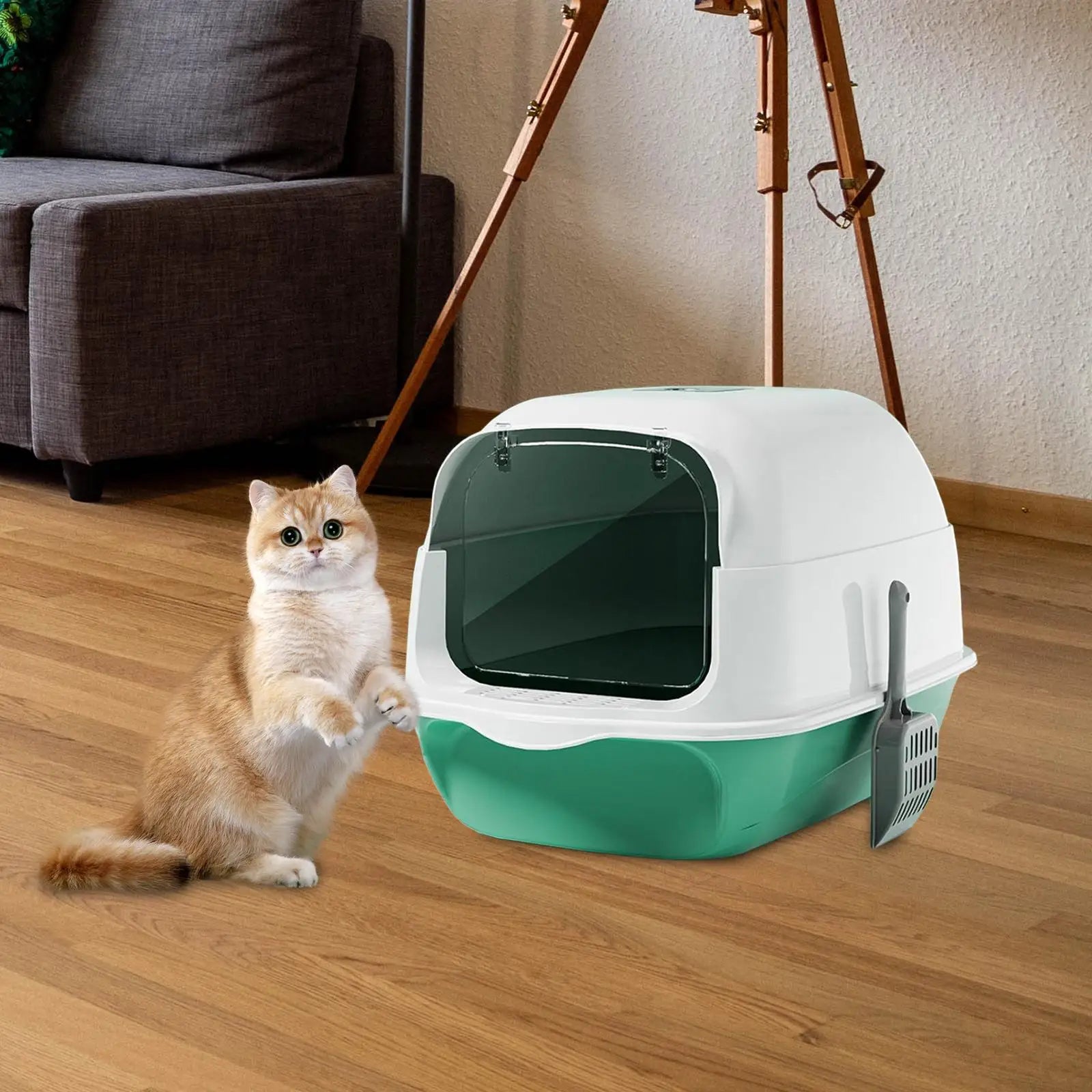 Hooded Cat Litter Box with Lid Large Capacity Cat Toilet with Front Door Flap Removable Large Reusable Sandbox Kitty Litter Tray
